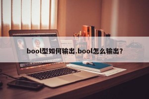 bool型如何输出.bool怎么输出？