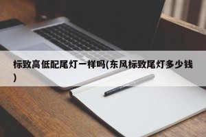 标致高低配尾灯一样吗(东风标致尾灯多少钱)