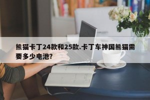 熊猫卡丁24款和25款.卡丁车神国熊猫需要多少电池？