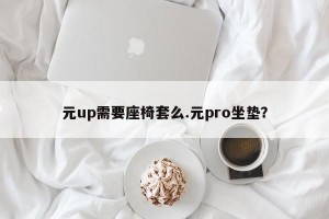 元up需要座椅套么.元pro坐垫？