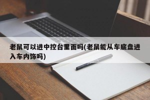 老鼠可以进中控台里面吗(老鼠能从车底盘进入车内饰吗)