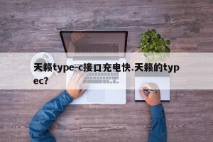 天籁type-c接口充电快.天籁的typec？