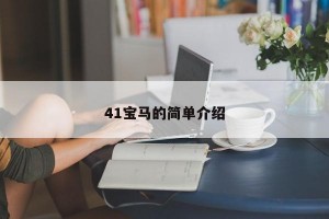 41宝马的简单介绍