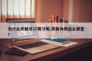 为什么天籁才17英寸呢.天籁为何这么便宜？